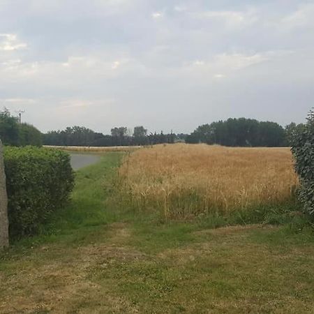 Gite 3 Places Au Coeur Du Tregor Langoat エクステリア 写真